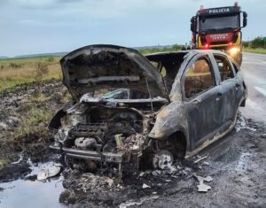 Un automóvil se incendió tras atropellar un carpincho sobre Ruta 14