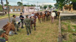 Retiraron a 25 caballos sueltos de las calles de Libres