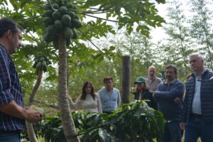Experiencia pionera de café de especialidad en Corrientes