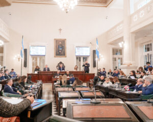 Diputados dio sanción favorable a ley por la Semana de la Epilepsia en Corrientes