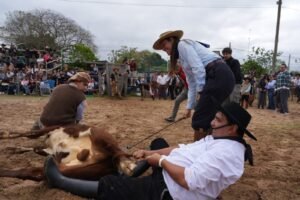Valdés destacó las tradiciones en la Fiesta Nacional de la Yerra y Doma Correntina