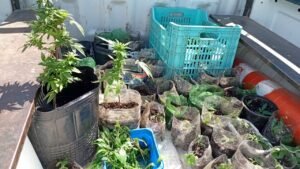 Más de 150 puntos de venta de drogas fueron desarticulados en Corrientes
