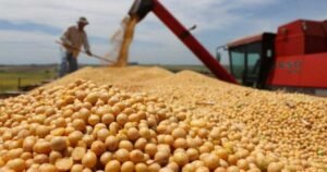 Advierten que 120.000 puestos rurales corren riesgo porque inacción del Gobierno