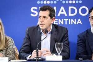 El senador Wado de Pedro alertó sobre los daños de los entornos digitales a los niños